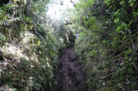 Path to Runtun