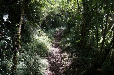 Path to Runtun