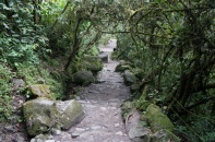 Path down to El Pailon del Diablo