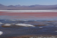 Red lagoon
