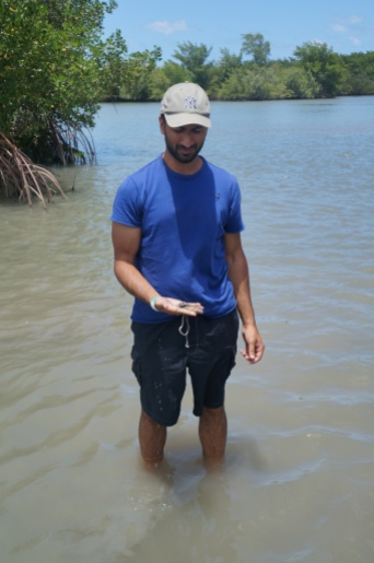 Lagoa Guarairas